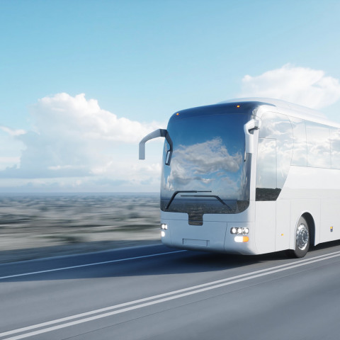 bus and coach